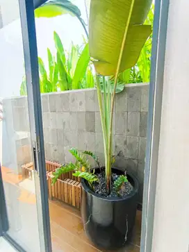 Hunian Nyaman Dekat Fasilitas Kota – Tipe Z6