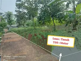 TANAH MURAH STRATEGIS DI DESA PABUARAN KECAMATAN KEMANG BOGOR