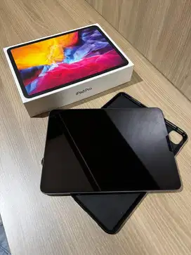 Ipad pro 11inc 2nd gen wifi only