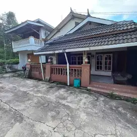 BU, Tanah Murah Dekat UGM + Bonus Rumah ; SHM Pekarangan