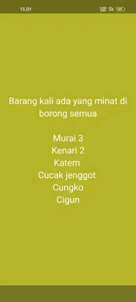 D jual burung busa satuan kenari mix lb & ciblek