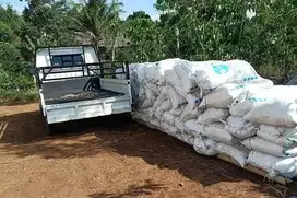 Sekam kotor kompos kotoran ayam