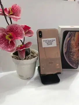 Iphone xs max 256gb