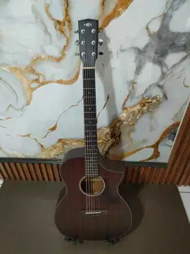 Gitar akustik elektrik hex hive f120ce m