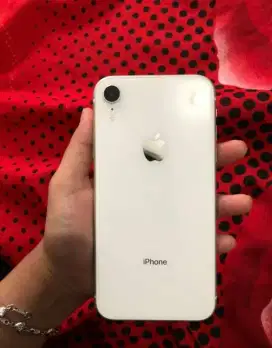 iPhone XR Normal