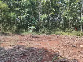 Tanah 100 Juta 1000m² Cocok Untuk Kebun Buah Karanganyar