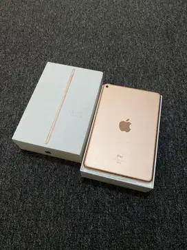 IPad Mini 5 64gb Ex iBox Resmi