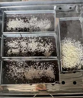 Po Brownies topping wijen dan coklat chip