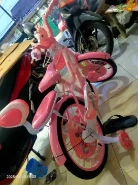 Teknisi sepeda semua type sepda