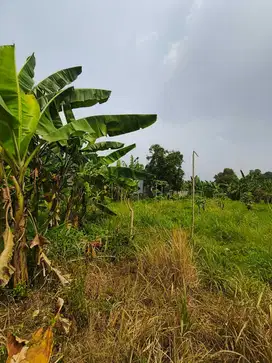 Kavling SHM Jatiasih Bekasi Mulai 500 Jutaan – Cicilan 12x Tanpa Bunga