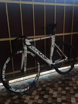 Peda fixi gray custome