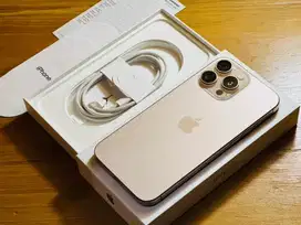 iPhone 16 ProMax Pro Max 256GB iBox BH100% 1 Bulan Pakai LikeNew