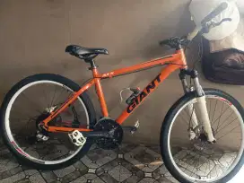MTB Giant ATX ring 26