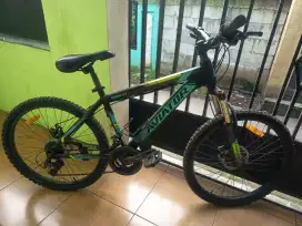 MTB aviator ring 26