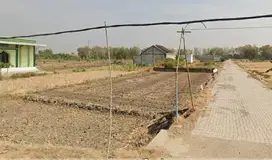 Tanah Kapling 7x14 (98 m²) di Kedamean Gresik - 75jt Nego