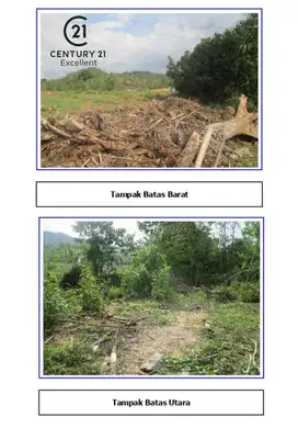 Dijual MURAH TANAH LUAS di KABUPATEN GOWA, Makasar Sulawesi Selatan