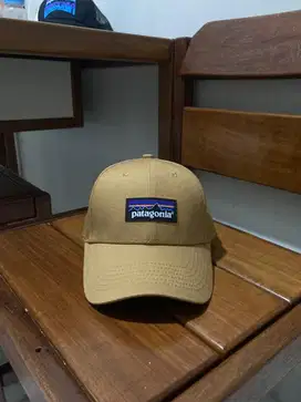 Cap Patagonia Full Tag Brown