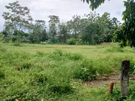 Tanah Cisauk 100 Jutaan Dekat Stasiun Jatake