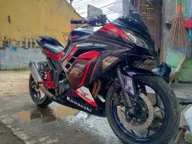 Kawasaki Ninja Fi 2013