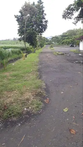 Dijual Tanah 2.000 m2 Pinggir Pantai