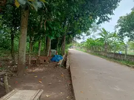 Tanah Cisauk Pinggir Jalan Dekat Stasiun, Hanya 100 Jutaan