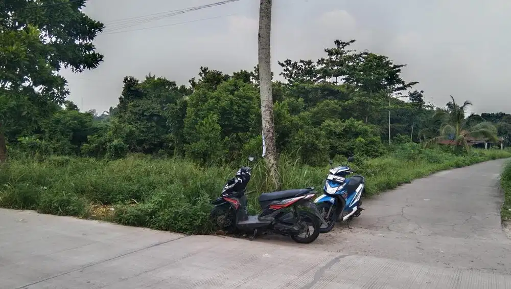 Jual Tanah Murah Pinggir Jalan