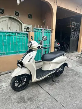 Yamaha Grand filano 2023