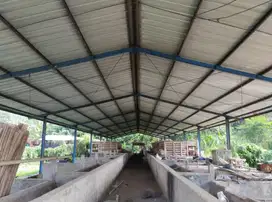 Dijual Kandang Sapi Kapasitas 100 Ekor di Cisalak Subang