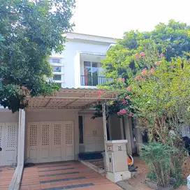 DISEWAKAN RUMAH MEWAH DI PHG GADING SERPONG