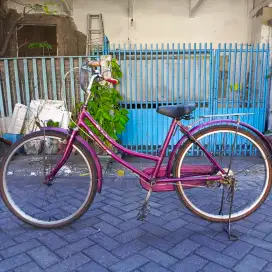 Sepeda Phoenix Ungu