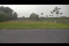 Jual tanah murah di brambang Diwek Jombang bagus untuk usaha + rumah