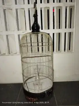 Sangkar besi lovebird