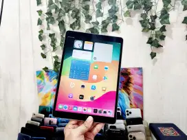 APPLE IPAD PRO 256GB 10.5 INCH 2017 CELLULAR + WIFI