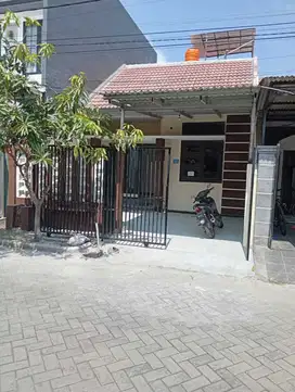 Rumah Disewakan di Wiguna
