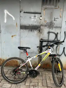 Sepedaa Polygon