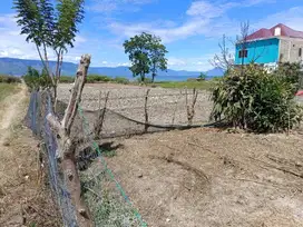 Dijual Tanah di Desa Dosroha ,Simanindo Samosir