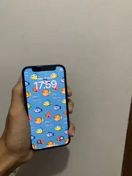 iphone 12 mini 64gb ibox