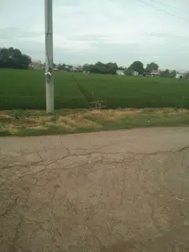 Tanah 1 HA Zona Kuning Untuk Perumahan/ Cluster di Karawang Timur