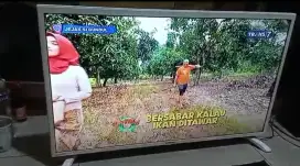 TV LED SHARP 32 INC