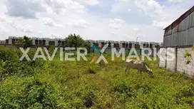 Dijual Tanah Jl Kampung Nangka Cikupa Tangerang