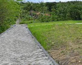 Tanah Jogja Murah Dekat Pemda Wates