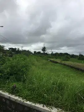 Jarang Ada Tanah di Pinggir Jalan Propinsi Parangtritis Bantul Yogya