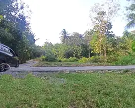 Tanah  Jl. Nagung-Brosot Kulon Progo Dekat UNY Wates