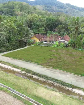 Iklan Tanah Kulon Progo Dekat Balai Desa Hargorejo  1 Juta Nego