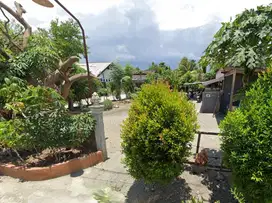Dijual Tanah SHM 560m² Strategis di Palu Timur Harga Nego Sampai Deal
