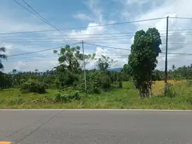 Dijual Tanah Seluas 9.758 m2 Seharga Rp 167 jt di Bolaang Mongondow
