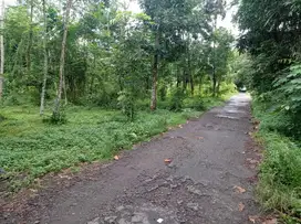 TANAH PEKARANGAN DISELATAN FK HUKUM KAMPUS UII Yogyakarta Jakal km 14