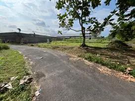 3 JUTAAN DEKAT RINGROAD: Tanah Jogja Kaliurang Km 10