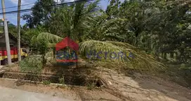 Tanah Jual Arjosari Pacitan Jalan Provinsi