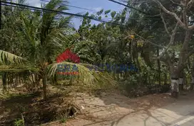 Jual Tanah di Jalan Provinsi Arjosari Pacitan